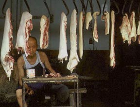 1981年中国彩照