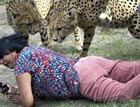 高清:英国妇女非洲度假遭猎豹袭击