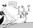 现代泰坦尼克