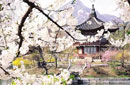 韩国旅游攻略