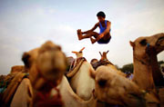 http://msn.huanqiu.com/photo/gallery/2012-05/2648474.html