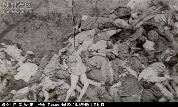 战争中被虐待的女人_社会_环球网