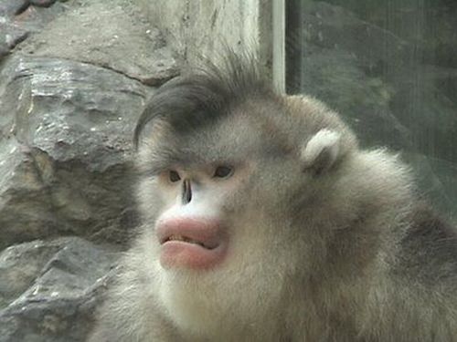 20120814093807321.jpg