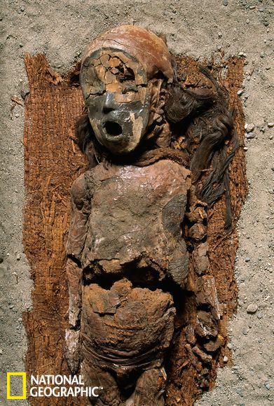 组图:智利发现世界迄今最古老的木乃伊(2)