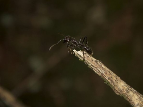20120817114700408.jpg
