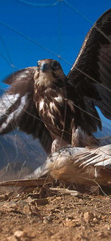 20120927024553782.jpg