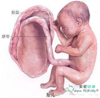 <em>女性怀孕</em>全过程17张<em>图</em>全刨析 - 青春重新走一回