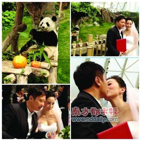 钱嘉乐汤盈盈结婚图片