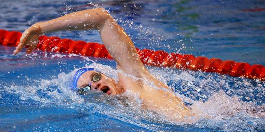 法国游泳名将破短池400米自由泳世界纪录