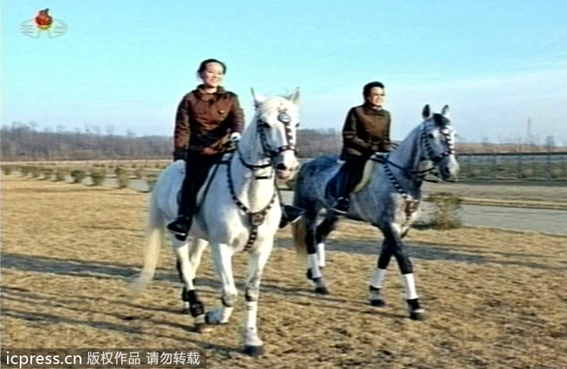 金汝静图片
