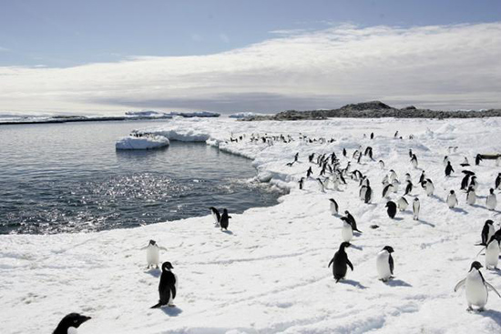 四川人口有多少_南极洲有多少人口