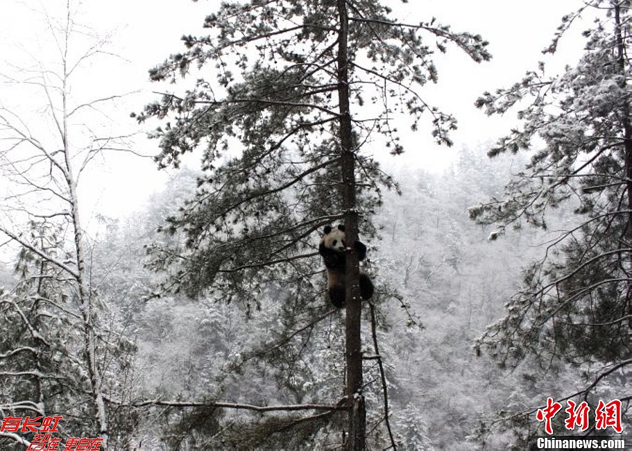 20121214094827972.jpg