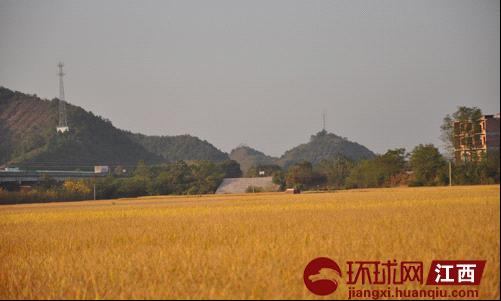 黄金埠镇gdp是多少_黄金回收图片(2)