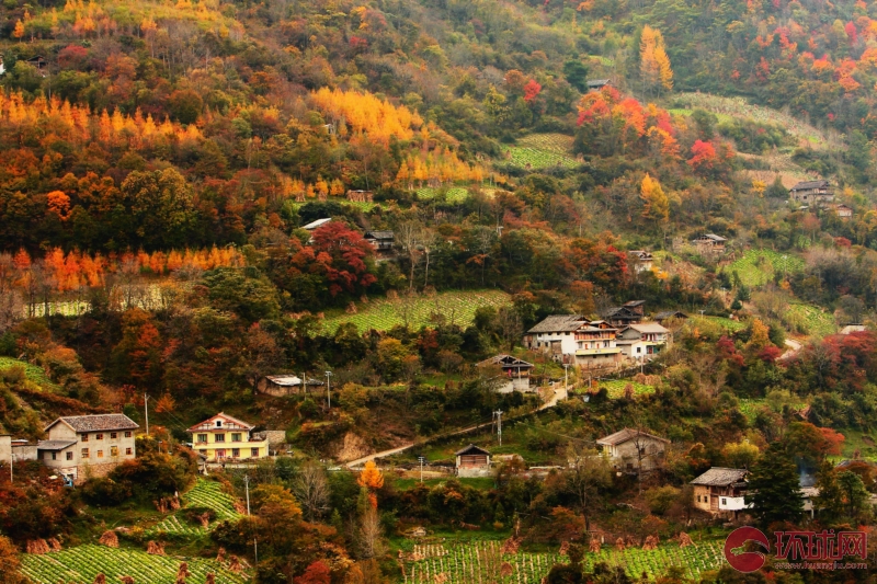 人民日报征稿公告:寻找中国最美丽乡村