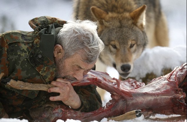 德国79岁男子 与狼共食 化身头狼统领29只猛兽