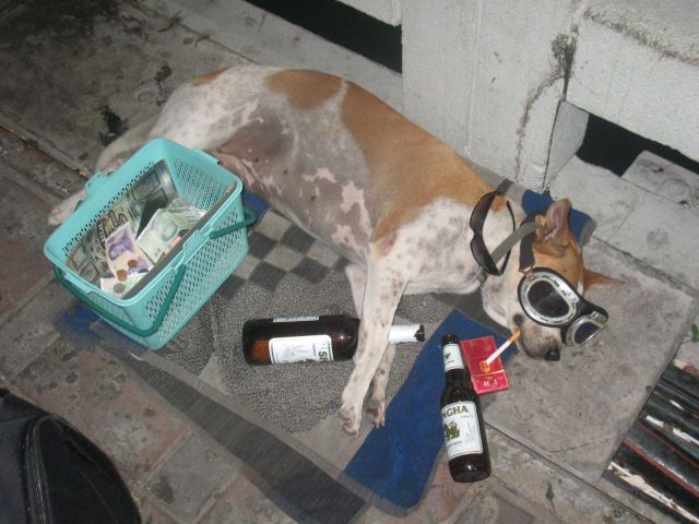 文章配图