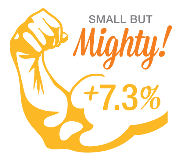 收入证明_年供额 收入