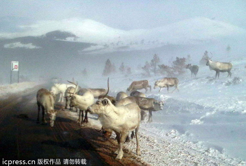 文章配图