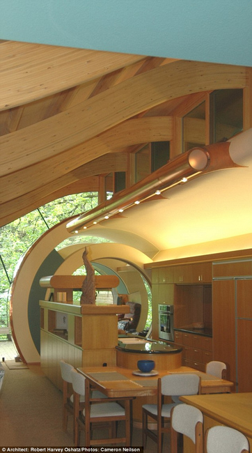 组图：设计师耗时7年雨林里建“树屋”