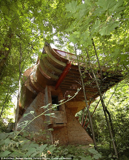 组图：设计师耗时7年雨林里建“树屋”