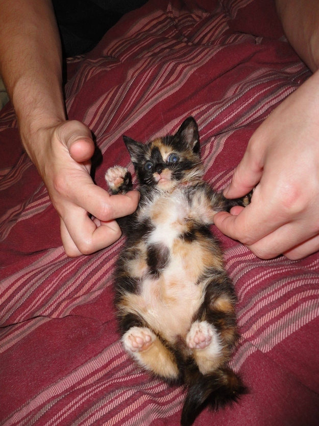 文章配图
