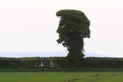 \