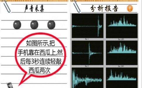 中国学生发明挑西瓜手机软件 测试发现不太靠