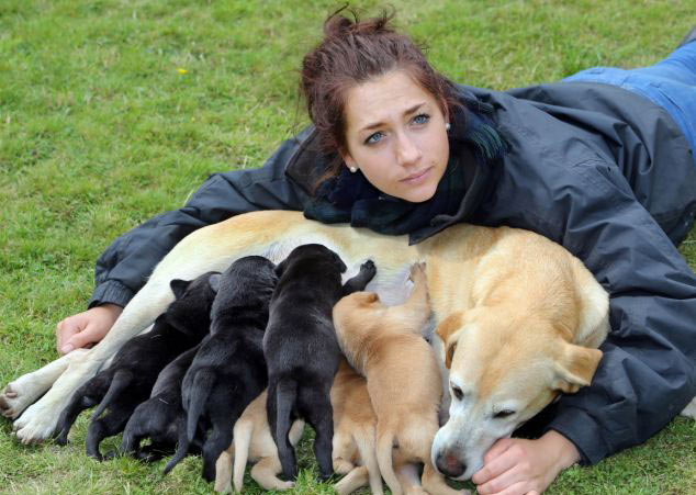 文章配图