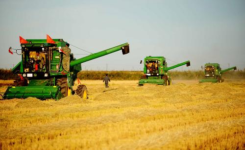 中国粮食日手抄报_中国人均粮食产量多少(2)