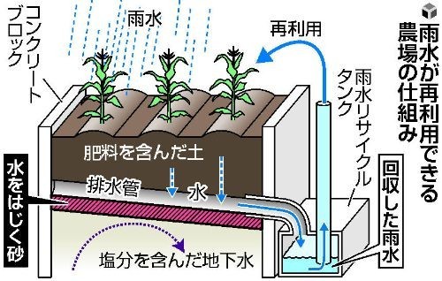日本开发出隔水砂 可用于干燥地域农业种植