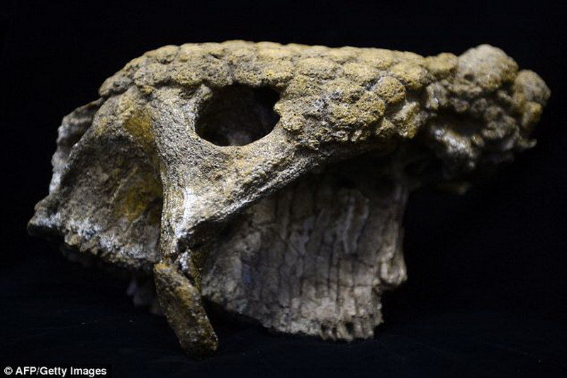 早期人类曾与远古巨兽共存 鳄鱼大如公交车