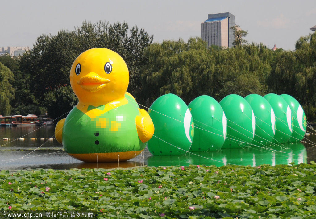北京玉渊潭公园现\u201c绿马甲大黄鸭\u201d_国内新