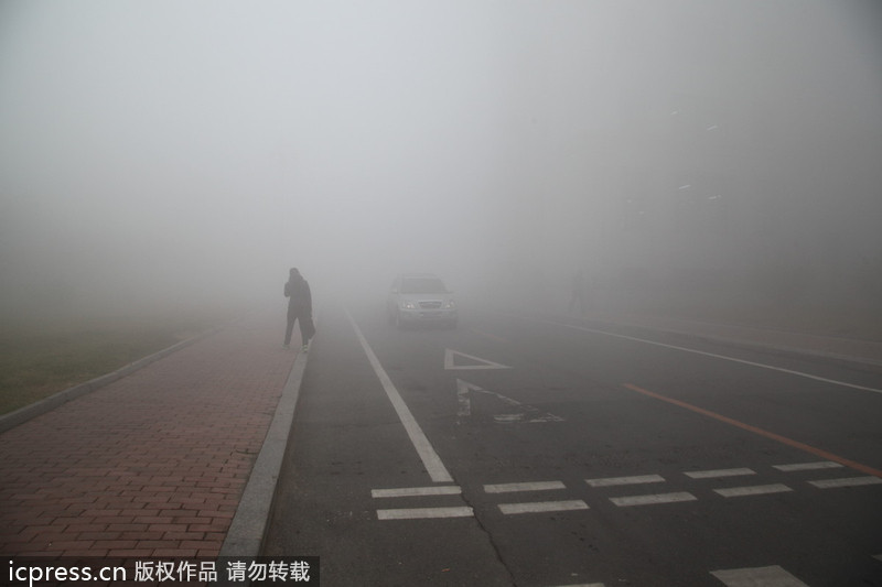 哈尔滨雾霾天气笼罩 学校停课公交停运