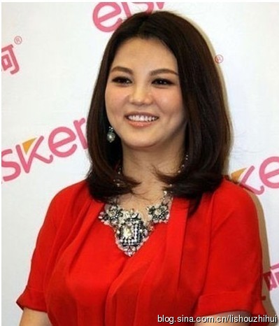 收入证明_电视剧广告收入(2)