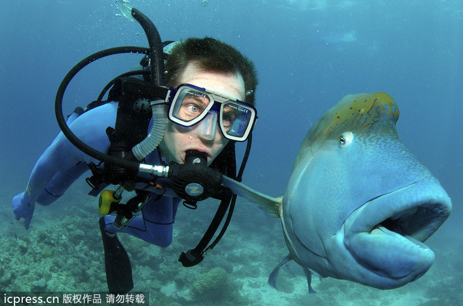 文章配图