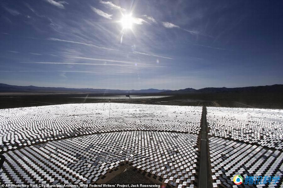 世界最大太阳能发电站成鸟类死亡陷阱