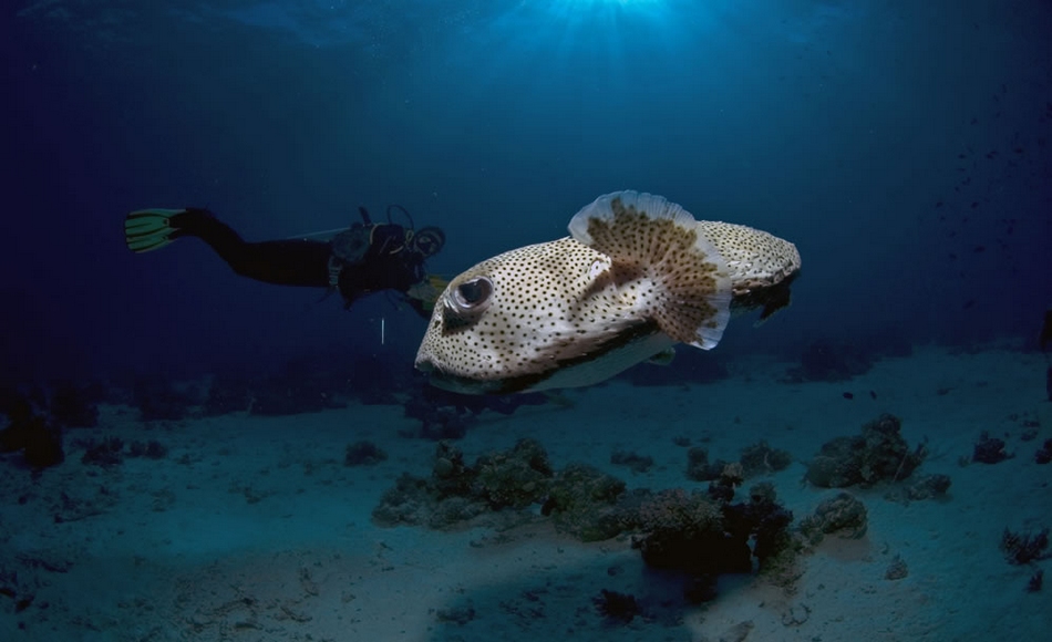文章配图