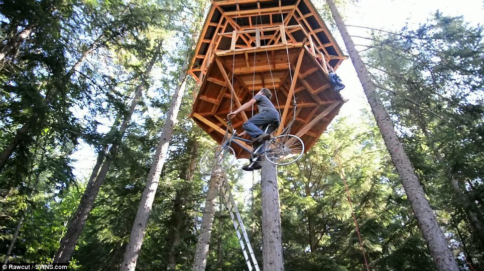 爬树！美男子为树屋设计“自行车电梯”