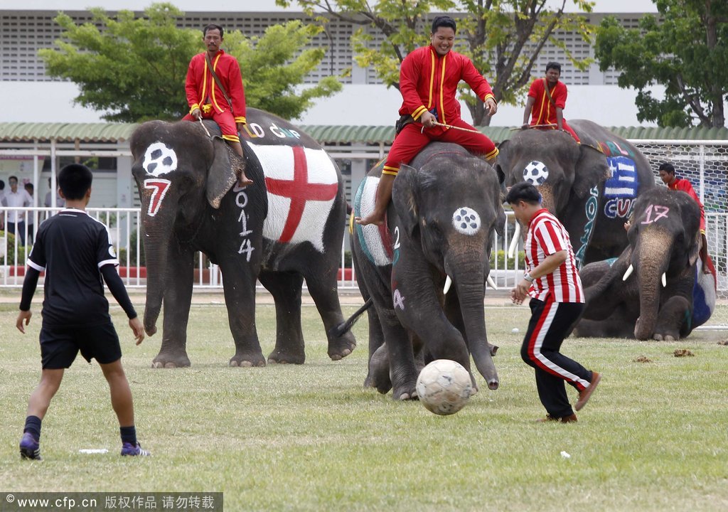 泰国一中学举办足球比赛 人象大战为世界杯助