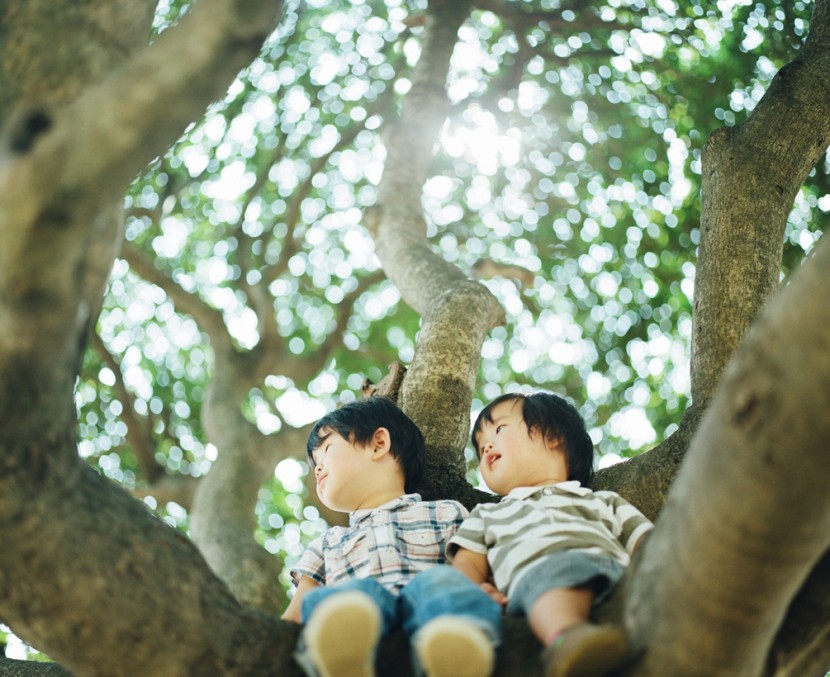 20140626113830734.jpg (830��677)