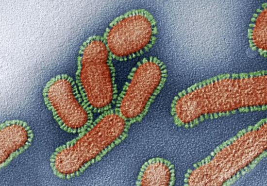 日本教授造超级病毒 罕见病毒彩照的危险之美