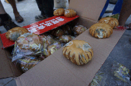 海南救灾发放数百箱发霉面包 民政厅长道歉