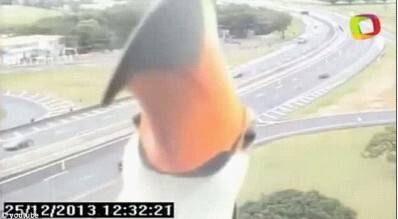 巴西好奇巨嘴鸟狂啄交通监控镜头令人忍俊不禁