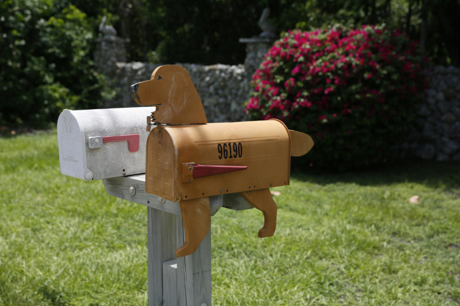 佛罗里达州逗趣邮箱创意 海豚怀抱猫狗栖息
