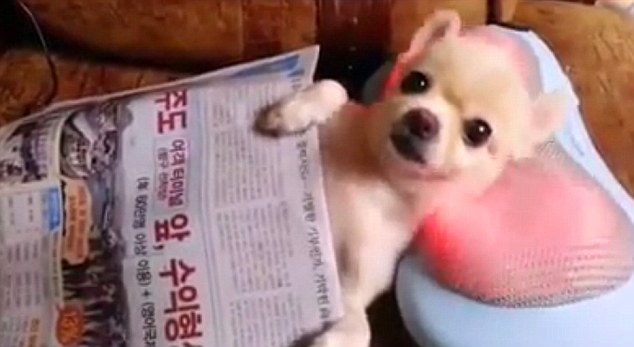 文章配图