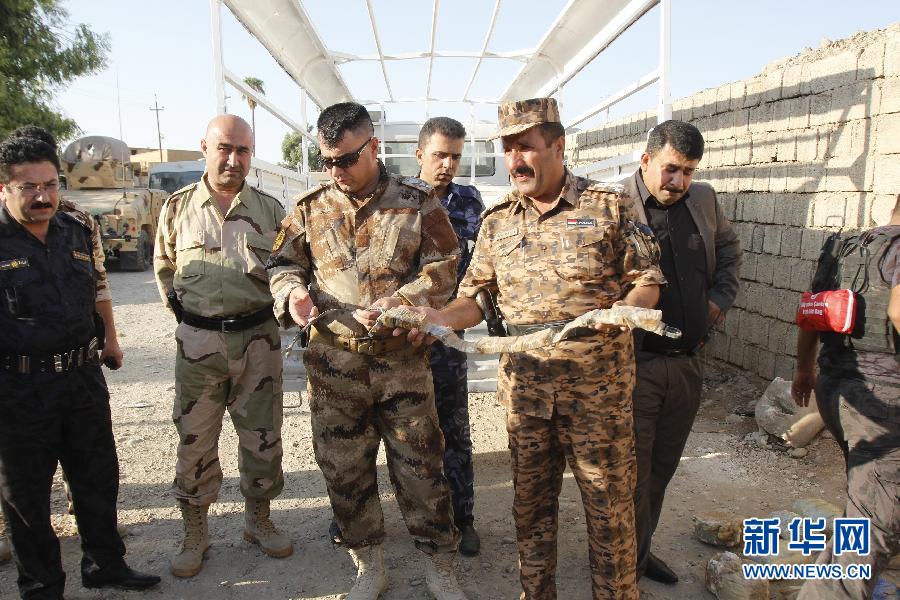 伊拉克库尔德武装人员逮捕多名极端分子