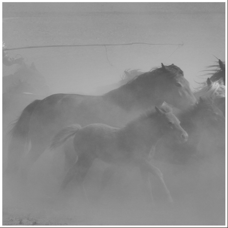 20140926032649353.jpg (800��800)