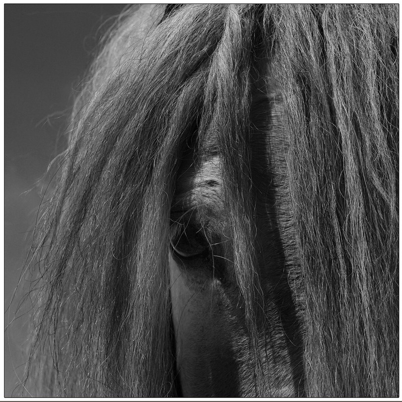 20140926032649373.jpg (800��800)