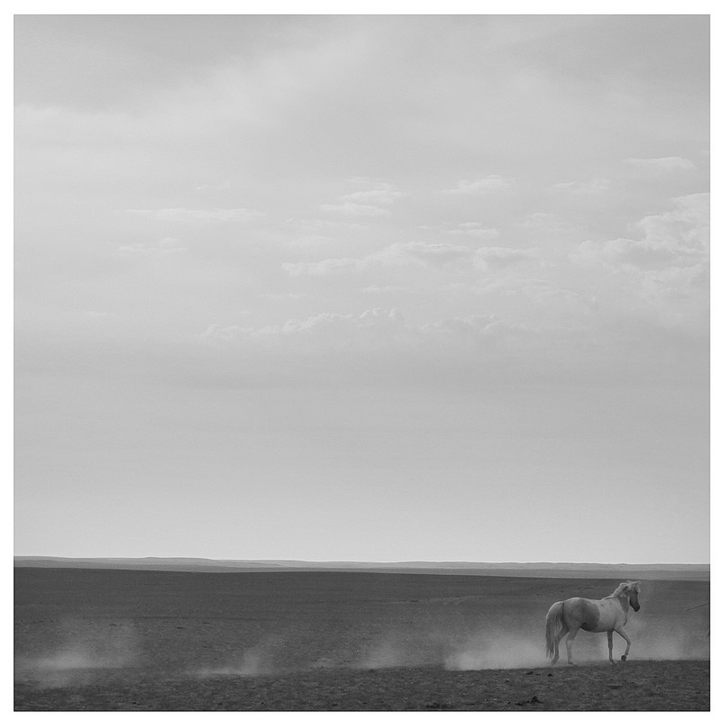 20140926032649446.jpg (800��800)