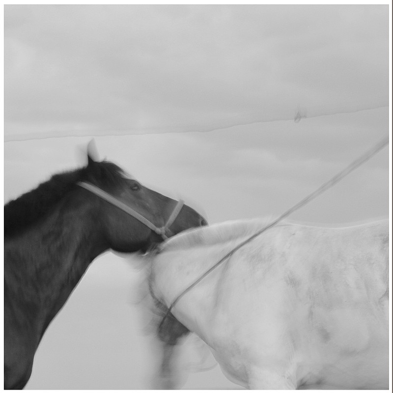 20140926032649480.jpg (800��800)